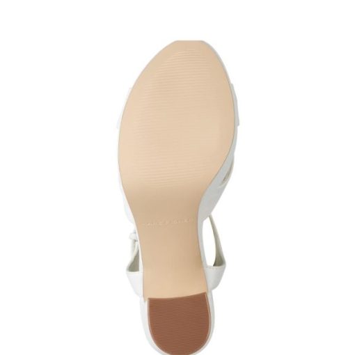 Shopmaker.shop03db04fde6 5